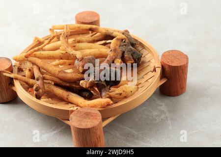 Fresh Kaempferia or Fingerroot, Known as Temu Kunci. Organic Herbal Plant Phytochemical and Medicinal Properties, Food Ingredients in South East Asia Stock Photo