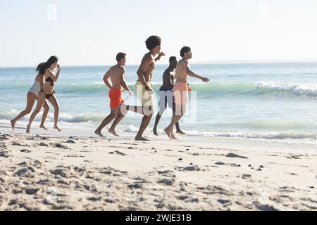 Diverse group of friends enjoy a beach day, with copy space Stock Photo