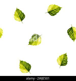 Watercolor seamless pattern with green autumn and summer leaves. Illustration isolated on background. Clip art for designers, travel business, postcar Stock Photo