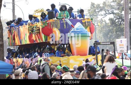 New Orleans, USA. 13th Feb, 2024. The Induna float rolls through during the Zulu Parade on St. Charles Avenue in New Orleans, Louisiana on Tuesday, February 13, 2023. (Photo by Peter G. Forest/SipaUSA) Credit: Sipa USA/Alamy Live News Stock Photo