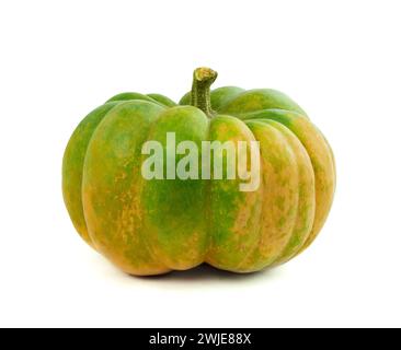 Composition of pumpkins for Halloween decoration. Rich harvest of pumpkins. Pumpkin on a white background. for your project or design. Autumn harvest Stock Photo