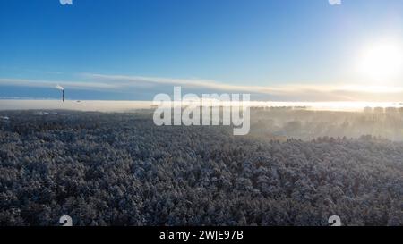 Aerial view on winter forest and city in fog Stock Photo