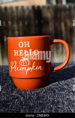 Oh Hello Pumpkin Mug Stock Photo