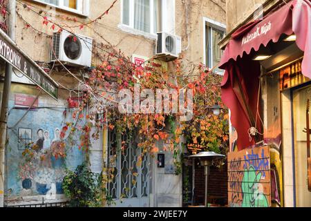 Istanbul, Turkey - December 10, 2023: Typical Istanbul small street in old part of city, Beyoglu district Stock Photo
