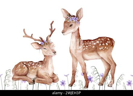 Watercolor set of deer and first spring flowers. Flowers violet coppice and lily of the violet valley green branches. Spotted deer isolated on white Stock Photo