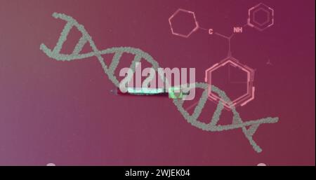 Image of chemical structures and dna strand over hand with test tube Stock Photo