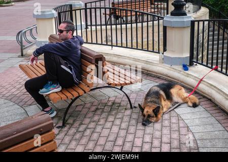 A man and his dog relaxing on the seafront at Sliema, Malta Stock Photo