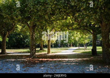 Lons-le-Saunier (central-eastern France): park “parc des Bains” Stock Photo