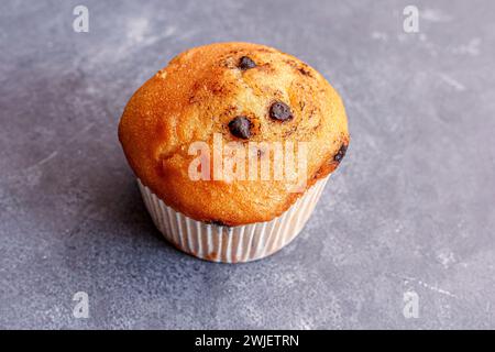 Blueberry Muffins Low Angle Close-Up Photo on a Dark Background Stock Photo