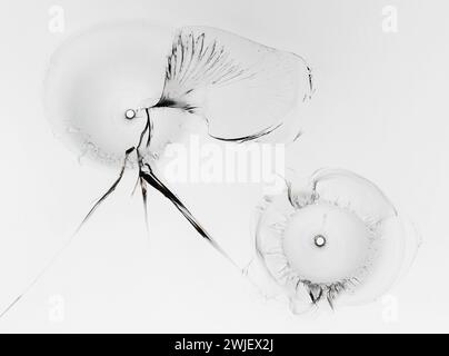 Cracked glass texture on white background. Close up of broken window with cracks. Stock Photo