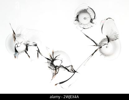 Set of holes in glass. Broken window texture on white background. Macro. Stock Photo
