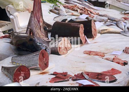Fish market with tuna and swordfish, Italy, Sicily Stock Photo - Alamy
