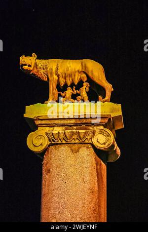 Italy, Rome - November 26, 2023: Capitoline Wolf Illuminated at night. Architecture of ancient Rome. View from Capitoline Hill on Wolf feeding Romulus and Remus. Sculptor Antonio del Pollaiuolo, Italy Stock Photo