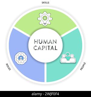 Human Capital or HC strategy framework infographic diagram chart illustration banner template with icon vector has skills, people and roles. Concept f Stock Vector