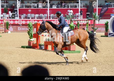 Fand and action at the H H The Amir Sword International Equestrian Festival kicks off at Longines Al Shaqab Outdoor in Doha Qatar Stock Photo