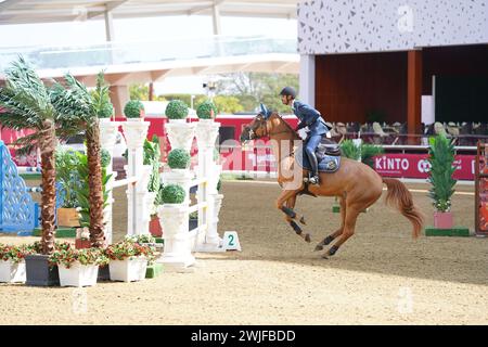 Fand and action at the H H The Amir Sword International Equestrian Festival kicks off at Longines Al Shaqab Outdoor in Doha Qatar Stock Photo