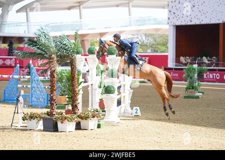 Fand and action at the H H The Amir Sword International Equestrian Festival kicks off at Longines Al Shaqab Outdoor in Doha Qatar Stock Photo