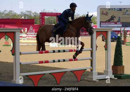 Fand and action at the H H The Amir Sword International Equestrian Festival kicks off at Longines Al Shaqab Outdoor in Doha Qatar Stock Photo