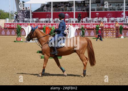 Fand and action at the H H The Amir Sword International Equestrian Festival kicks off at Longines Al Shaqab Outdoor in Doha Qatar Stock Photo