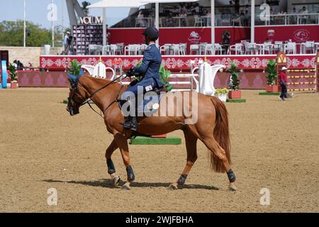 Fand and action at the H H The Amir Sword International Equestrian Festival kicks off at Longines Al Shaqab Outdoor in Doha Qatar Stock Photo