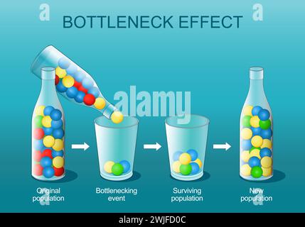 Bottleneck effect. Natural selection. Genetic bottleneck is a sharp reduction in the size of a population. explanation of the phenomenon using colorfu Stock Vector