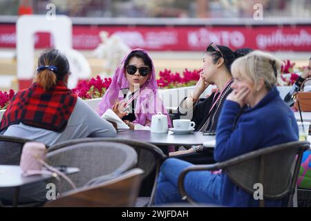 Fand and action at the H H The Amir Sword International Equestrian Festival kicks off at Longines Al Shaqab Outdoor in Doha Qatar Stock Photo