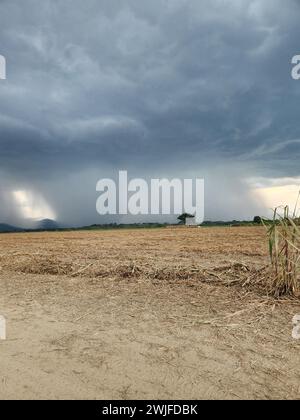Approaching storm over arid grassland with dusty terrain Stock Photo