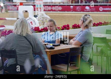 Fand and action at the H H The Amir Sword International Equestrian Festival kicks off at Longines Al Shaqab Outdoor in Doha Qatar Stock Photo