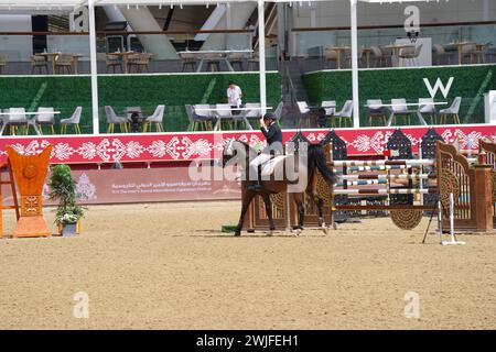 Fand and action at the H H The Amir Sword International Equestrian Festival kicks off at Longines Al Shaqab Outdoor in Doha Qatar Stock Photo