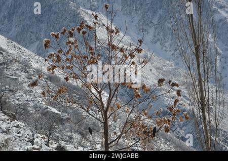 Snowfall in Kaghan Naran Feb-2024 Stock Photo