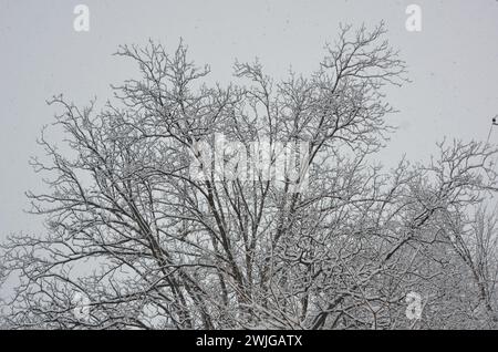 Snowfall in Kaghan Naran Feb-2024 Stock Photo