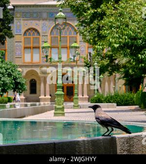 Bird in Golestan Palace. Water pond and huge crow blackbird (corvine) Golestan Palace, Tehran, Iran. Stock Photo