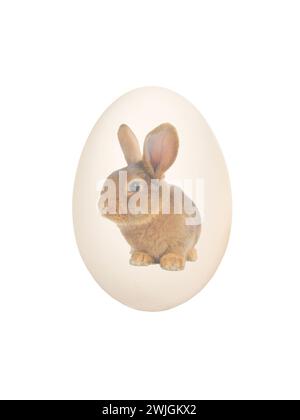 Easter egg with the image of a brown rabbit isolated on a white background. Stock Photo