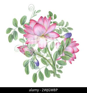 Bouquet of blue clitoria ternatea and lotus. Blooming flowers, green leaves. Waterlilies, wisteria. Bud, flower, leaf, stem. Watercolor illustration Stock Photo