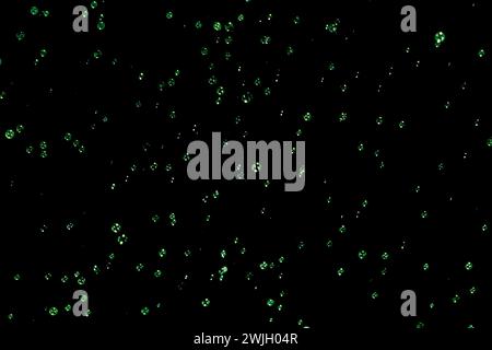 Green Soap bubbles on the dark background Stock Photo