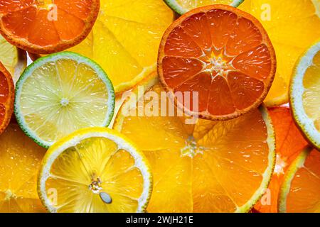 Sliced, various citrus fruits as a background. Fresh, ripe fruits, top view. Stock Photo