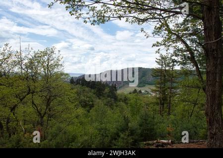 Green plants and trees on a hill with Rotenfels in the background on a spring day in the Palatinate Forest of Germany. Stock Photo