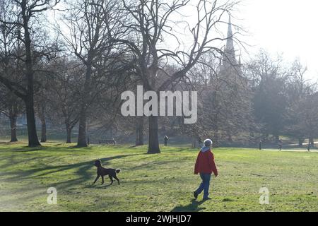 Middle-aged woman takes poodle for a walk in Greenwich park, southeast London, UK Stock Photo