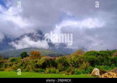 Mountains Jonkershoek Nature Reserve from Oldenburgt Wine Estate, Oldenburg Vineyards, Banghoek, Stellenbosch, Western Cape, South Africa Stock Photo