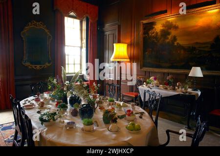 Room view of the Dining room at Antony House showing the dining table, Chippendale chairs  in Cornwall , UK Stock Photo
