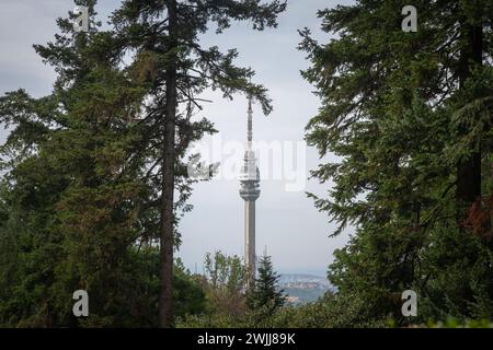 Picture of the Avala tower, or Avala toranj, seen from a nearby forest. It is a TV tower and broadcasting antenna in the suburbs of Belgrade, Serbia. Stock Photo