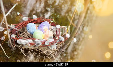 Colorful decorated easter eggs in the small nest of willow branches on green grass background Happy easter concept Stock Photo