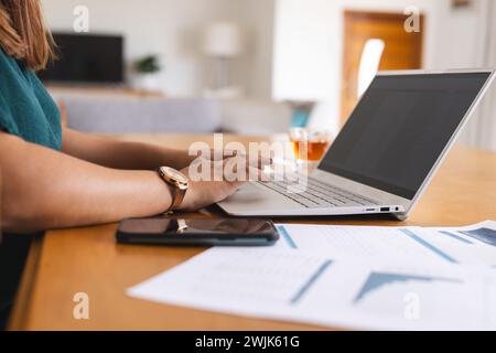 Young biracial woman works on her laptop at home Stock Photo