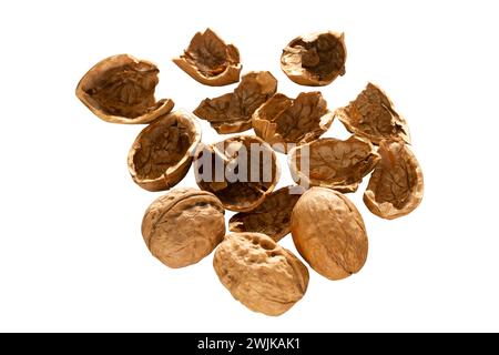 Walnut shells isolated on white background. Stock Photo