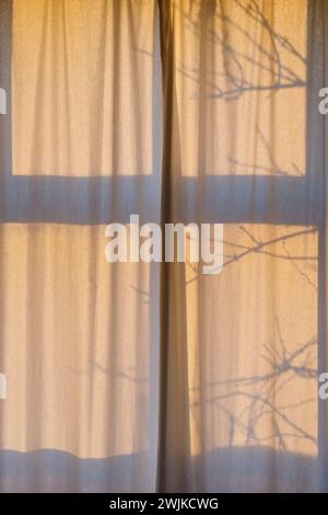 Orange early morning sunlight shines through white transparent curtains with shadows from the window frame and tree branches Stock Photo