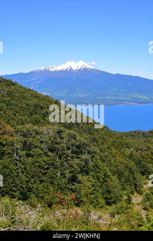 Valdivian temperate forest, Llanquihue Lake and Calbuco volcano. Region de los Lagos, Chile. Stock Photo