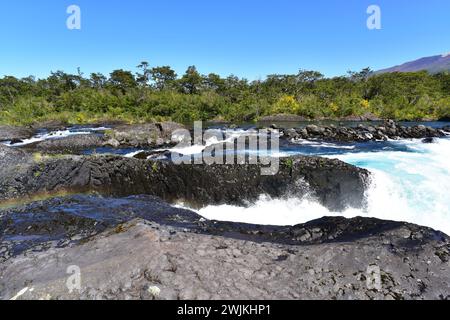 Valdivian temperate forest with coihue (Nothofagus dombeyi) and Petrohue River. Vicente Perez Rosales National Park, Region de los Lagos, Chile. Stock Photo