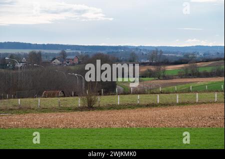 Green meadows and fields at the hills of the Flemish countryside around Leuven, Flemish Brabant, Belgium Stock Photo