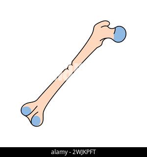 Greenstick bone fracture line icon. Vector isolated element. Editable stroke. Stock Vector