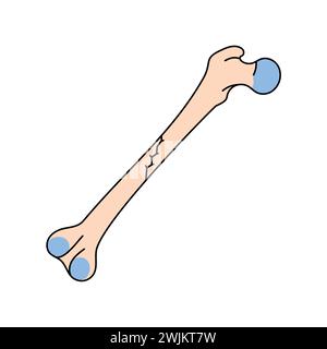 Oblique nondisplaced bone fracture line icon. Vector isolated element. Editable stroke. Stock Vector